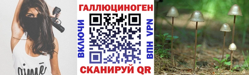 Псилоцибиновые грибы Psilocybine cubensis  Рославль 